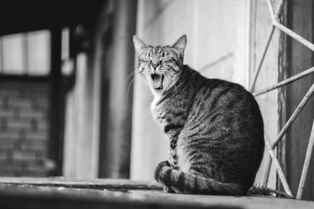 Photograph by Кирилл Ермилов