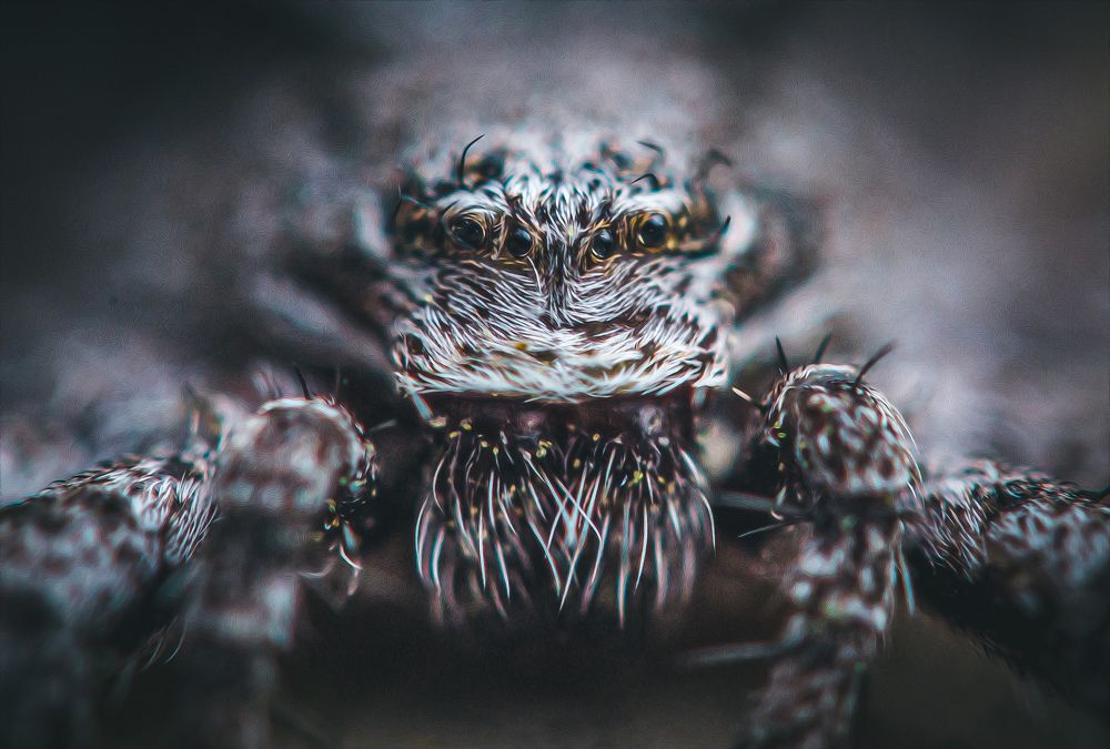 Photograph by Юлия Шматова