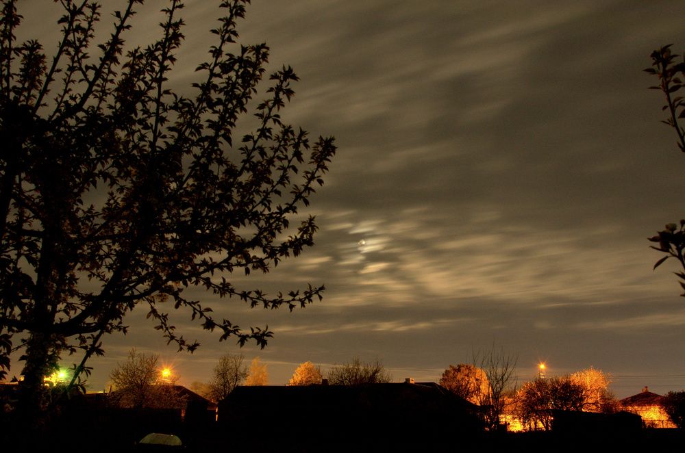 Photograph by Тамара Погост