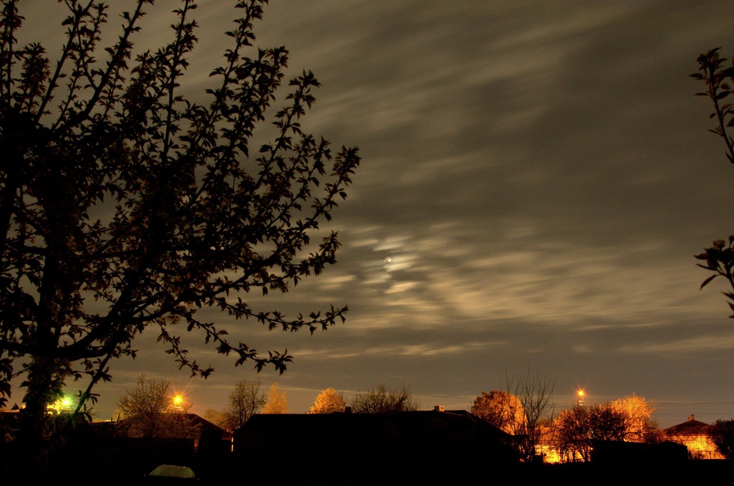 Photo #6083081