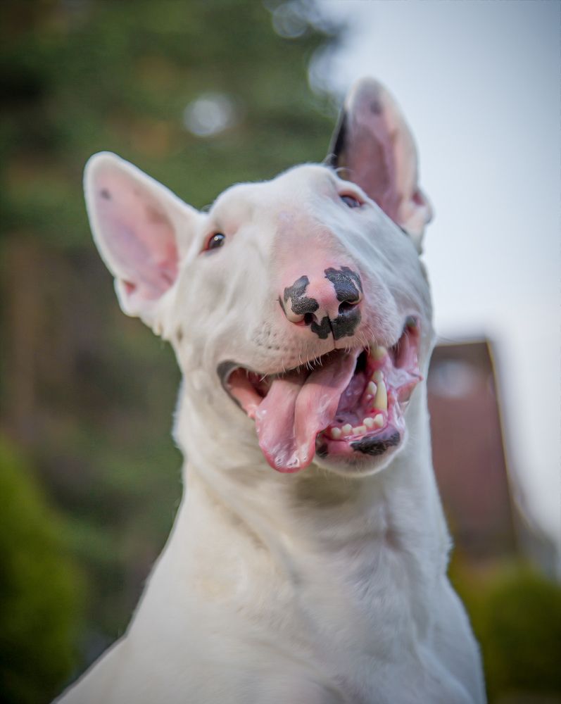 Photograph by Юлия Шматова