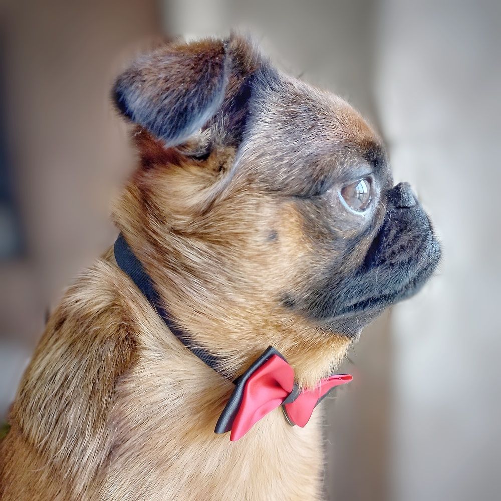 Photograph by Ольга Дорошенко