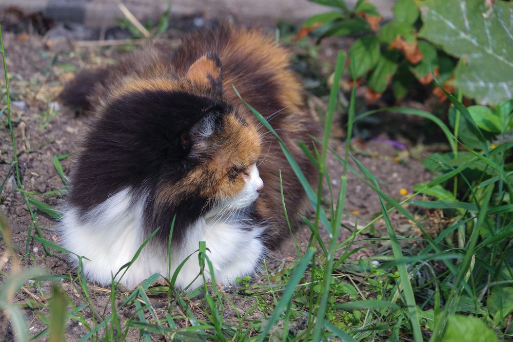 Снимайте! Позирую.