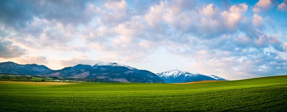 Photograph by Tomas Feco