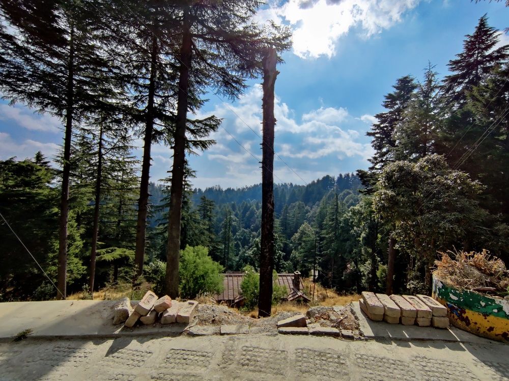 Photograph by Shambhavi Singh