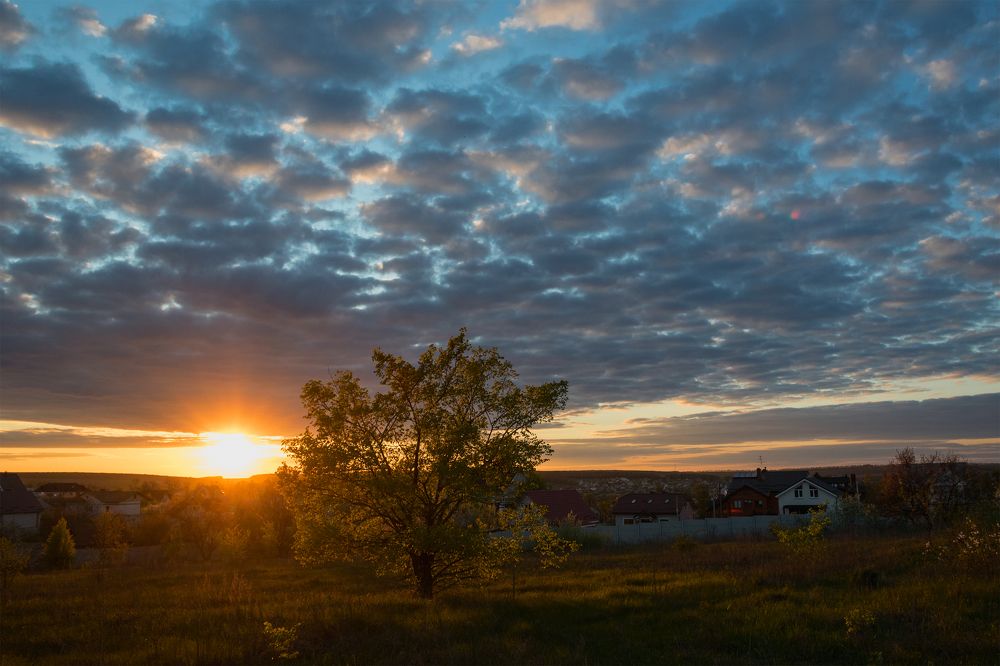 Фотография автора Андрей Серый