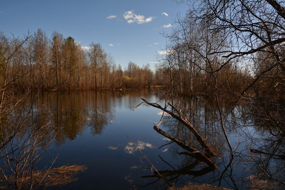 Photograph by Ruslan Sevastyanov