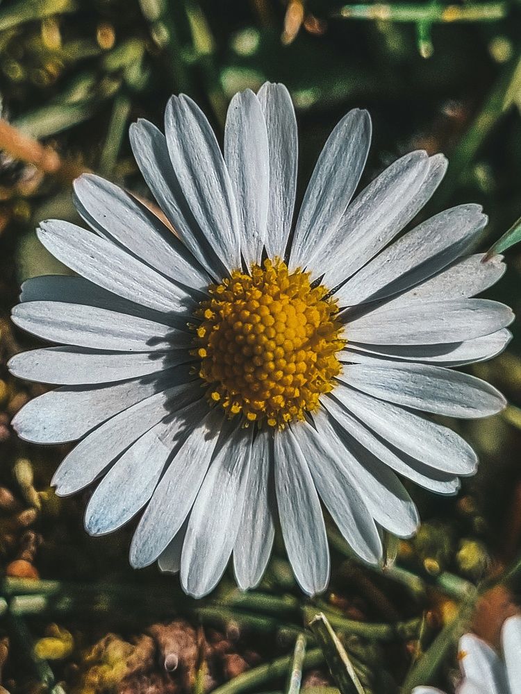 Photograph by Olga Zalunina