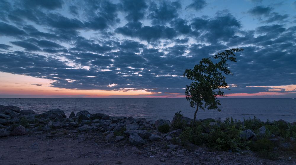 Photograph by Армашов-Тельник Григорий