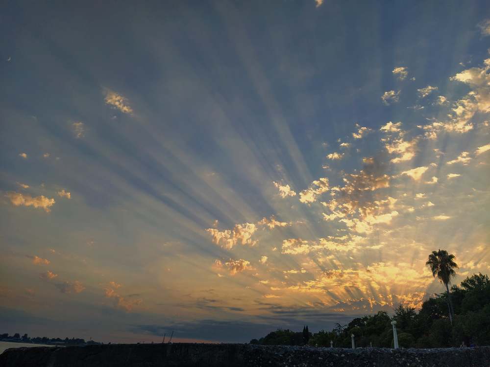 Photograph by Эльза Чанба