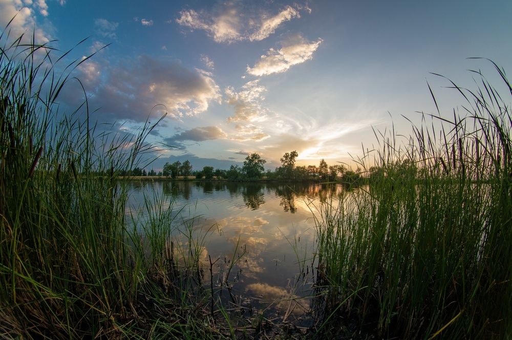 Photograph by Юрий Москалев