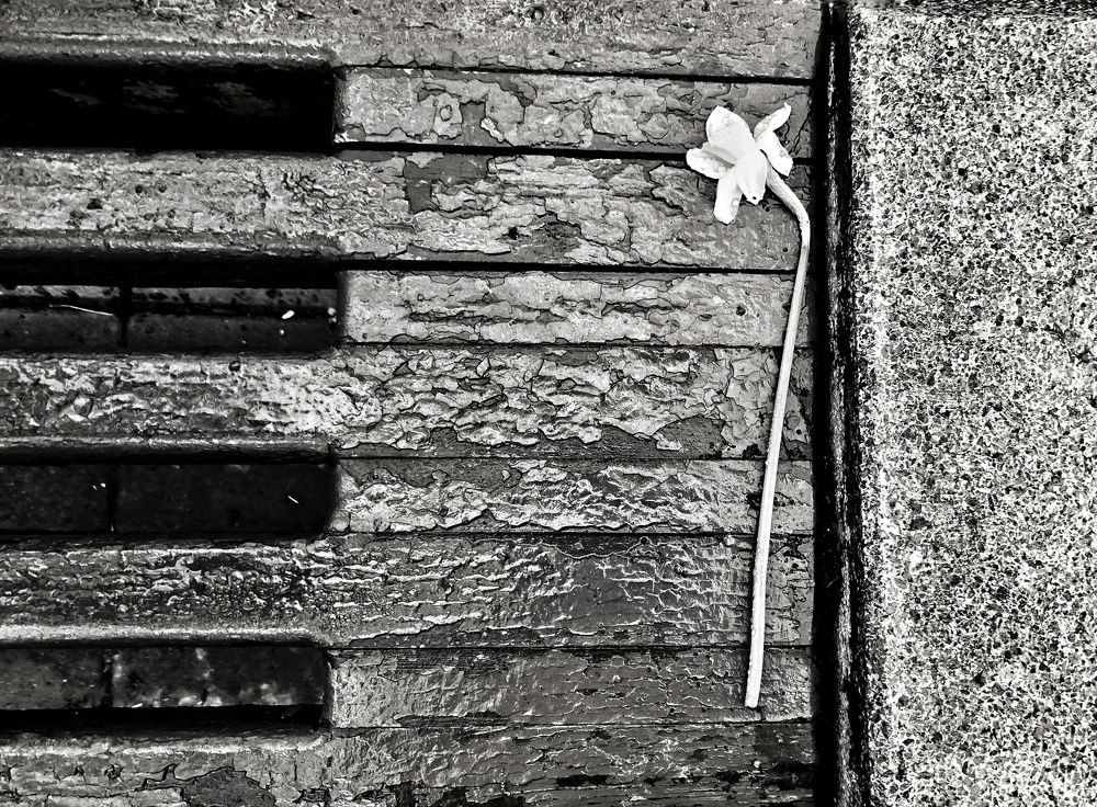 Photograph by Тата Иващенко