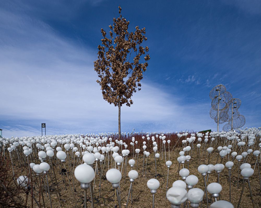 Photograph by Дмитрий Емельянов