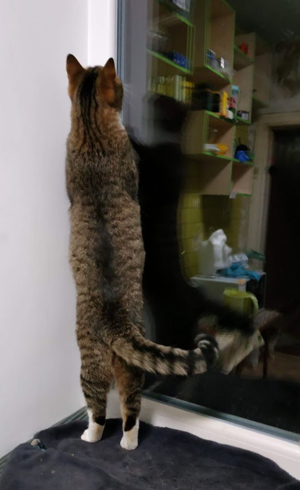 Виртуальная реальность , это что такое?