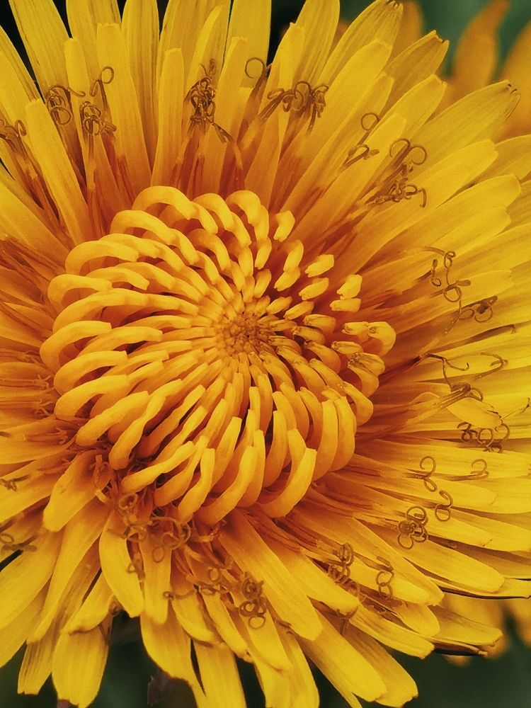 Photograph by Александр Гоцуляк