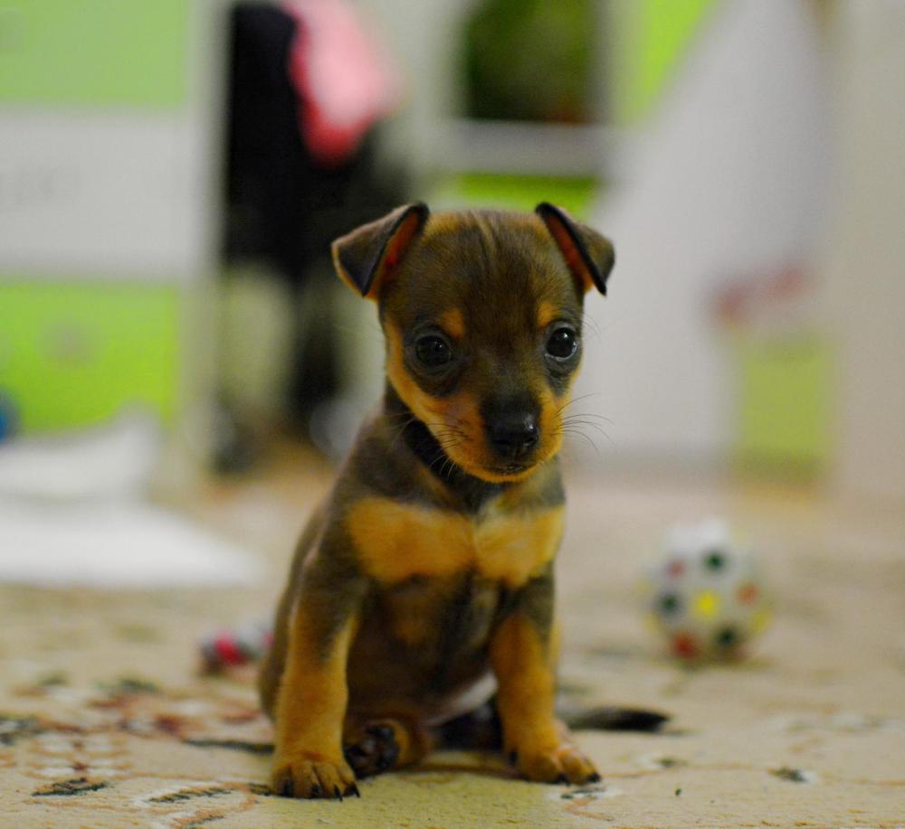 Photograph by Надежда Каравайцева