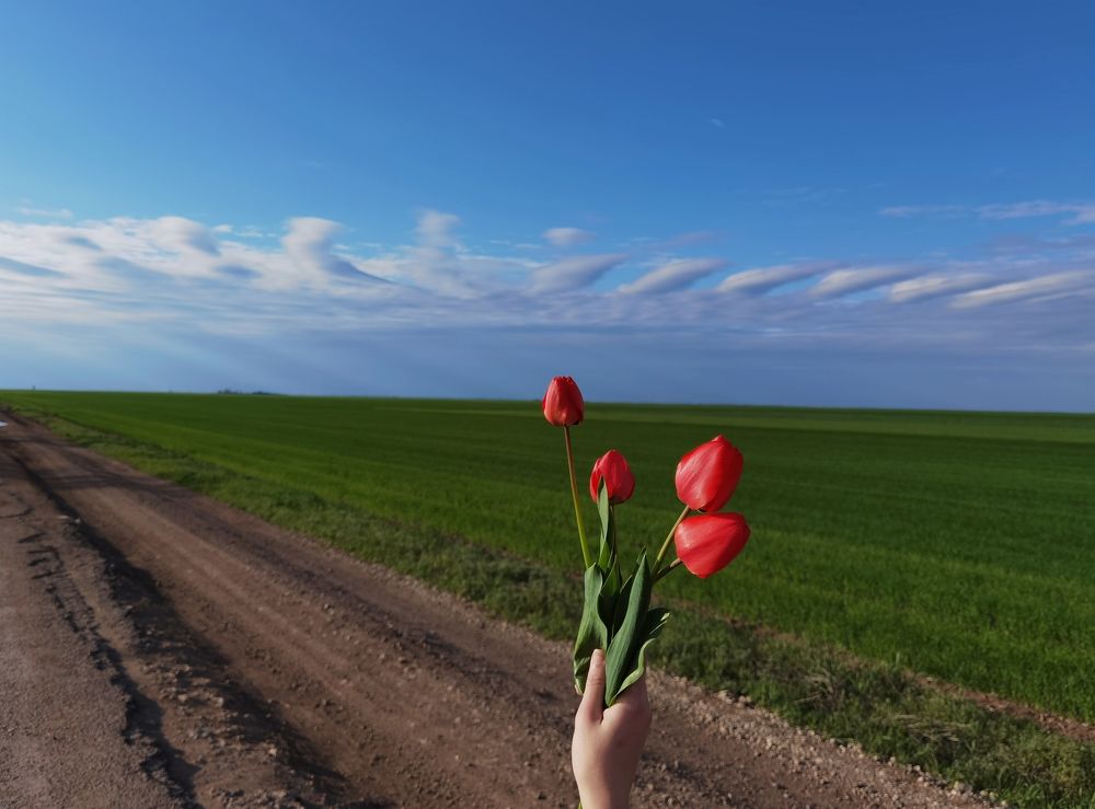 Photograph by Александр Гоцуляк