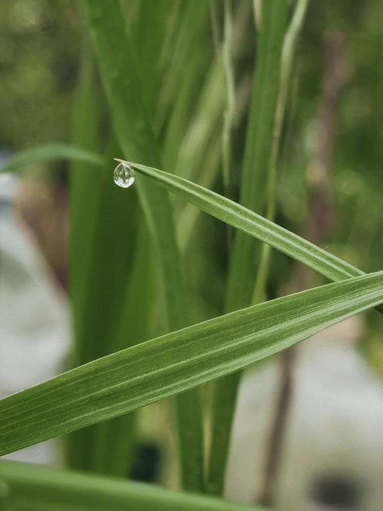 Photograph by Александр Гоцуляк