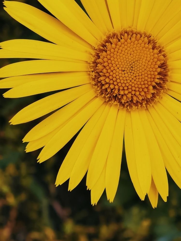 Photograph by Александр Гоцуляк