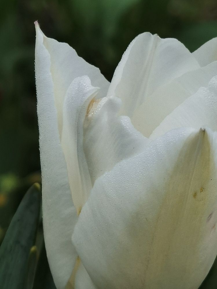 Photograph by Александр Гоцуляк