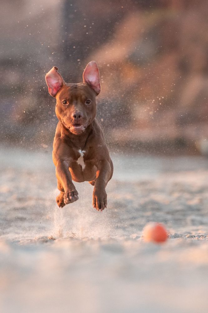 Photograph by Виола Поликарпова