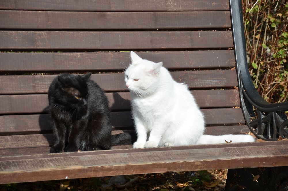 Photograph by Надежда Каравайцева