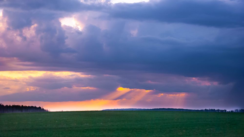 Photograph by Диана Бородзе