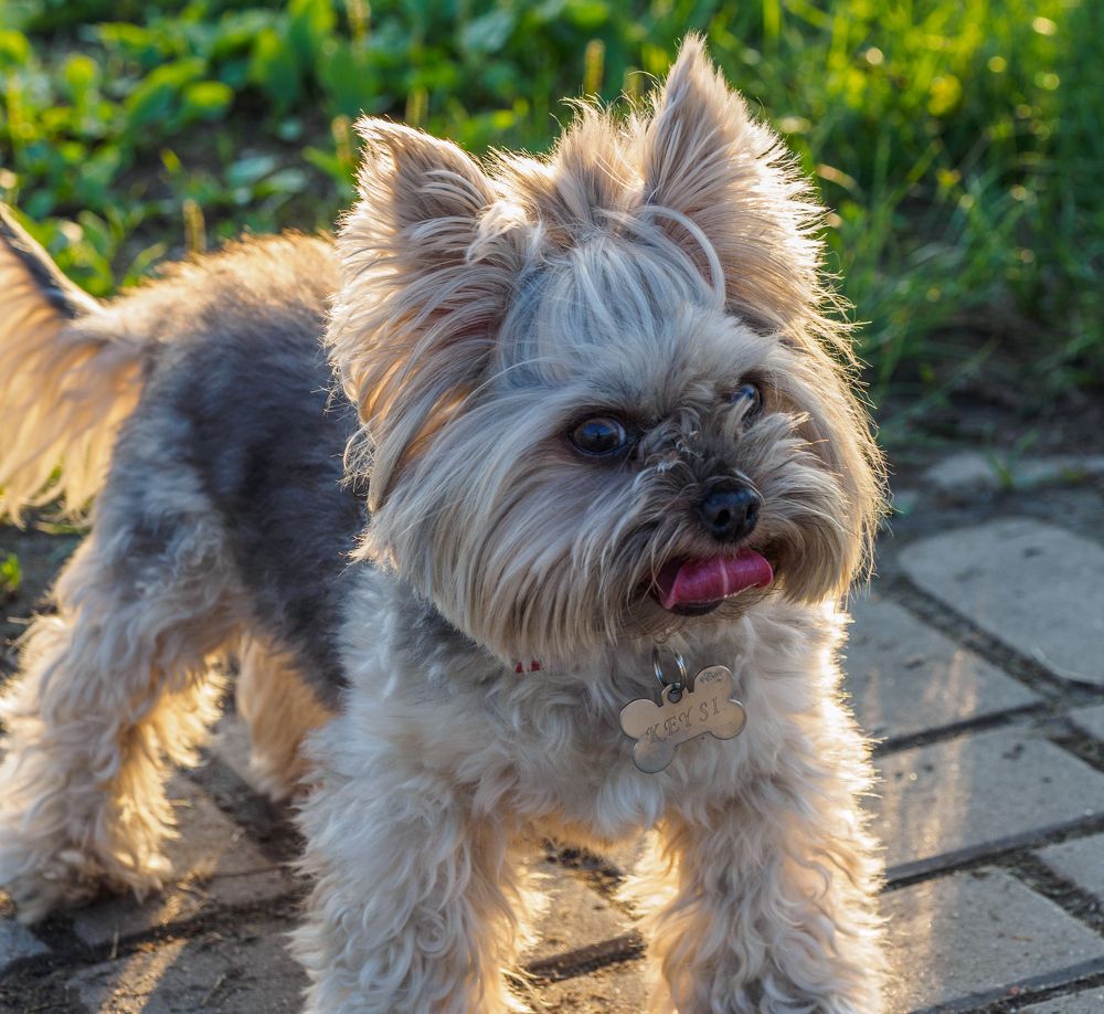 Photograph by Владимир