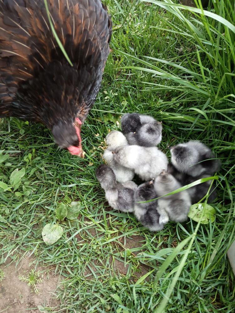 Photograph by Любовь Шаврина