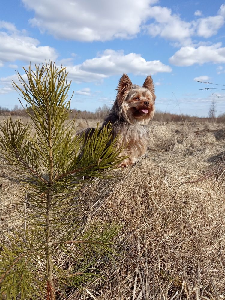 Photograph by Любовь Шаврина