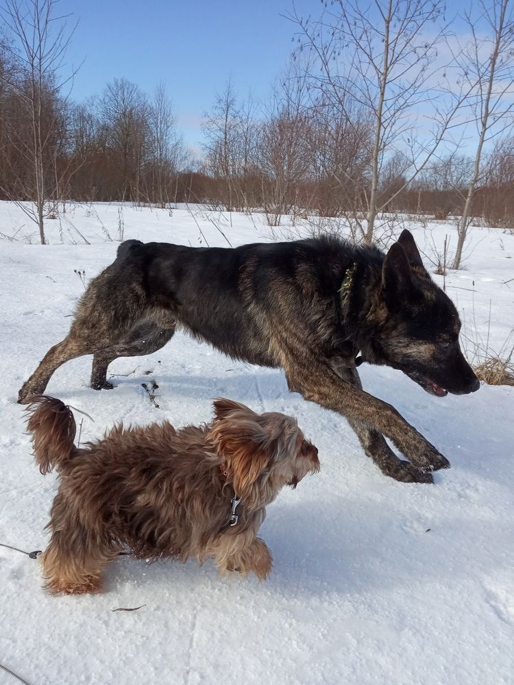 Photograph by Любовь Шаврина