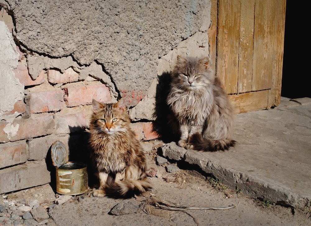 Photograph by Инна Сечко