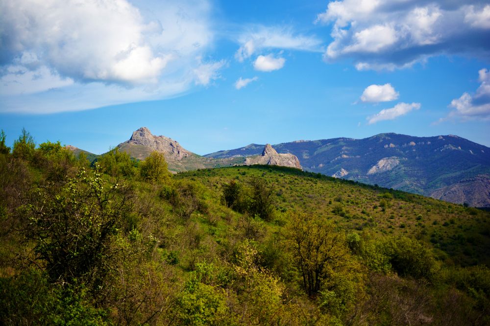 Photograph by Муза Латинская