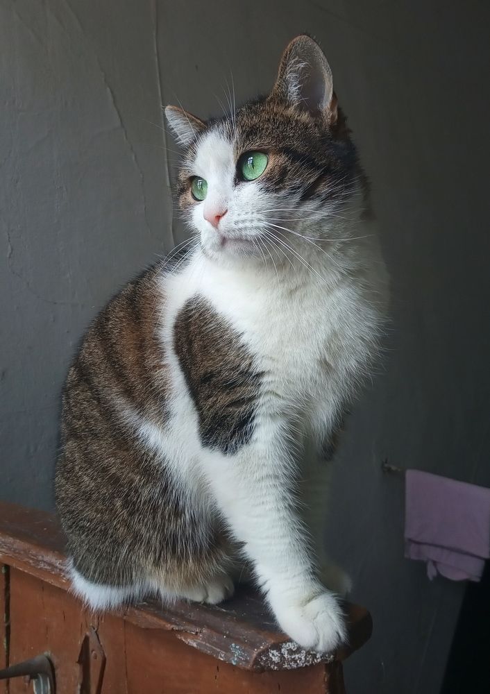 Photograph by Виктория Клышникова