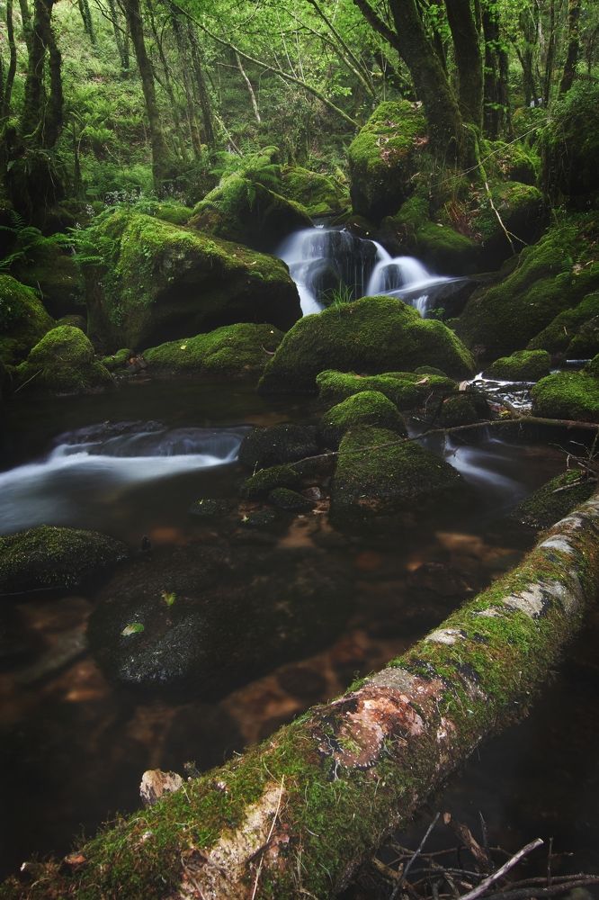 Фотография автора Laura Baratas