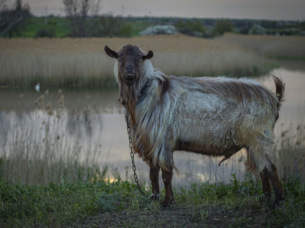Во всей красе))