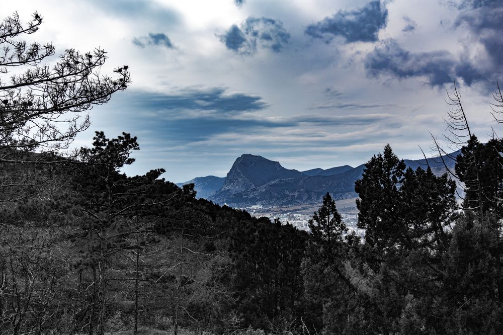 Photograph by Муза Латинская