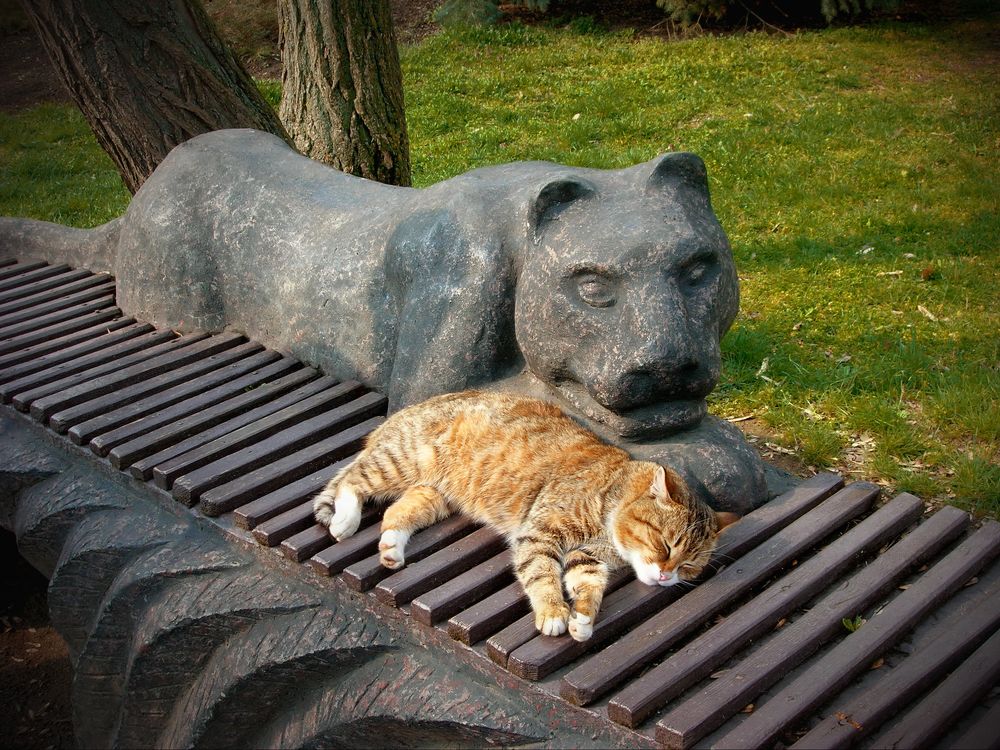 Photograph by Инна Сечко