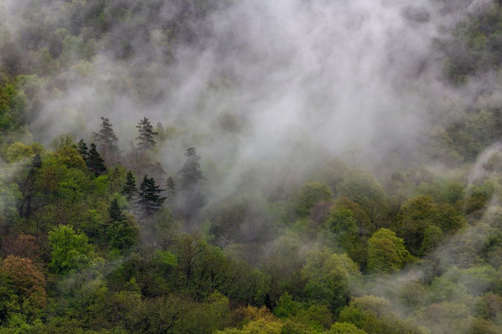 Photograph by Василий Бережной