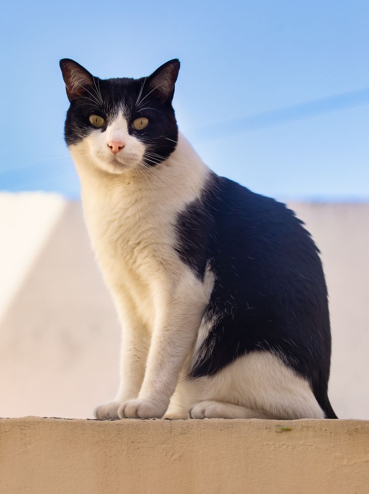 Photograph by Alberto Sosa