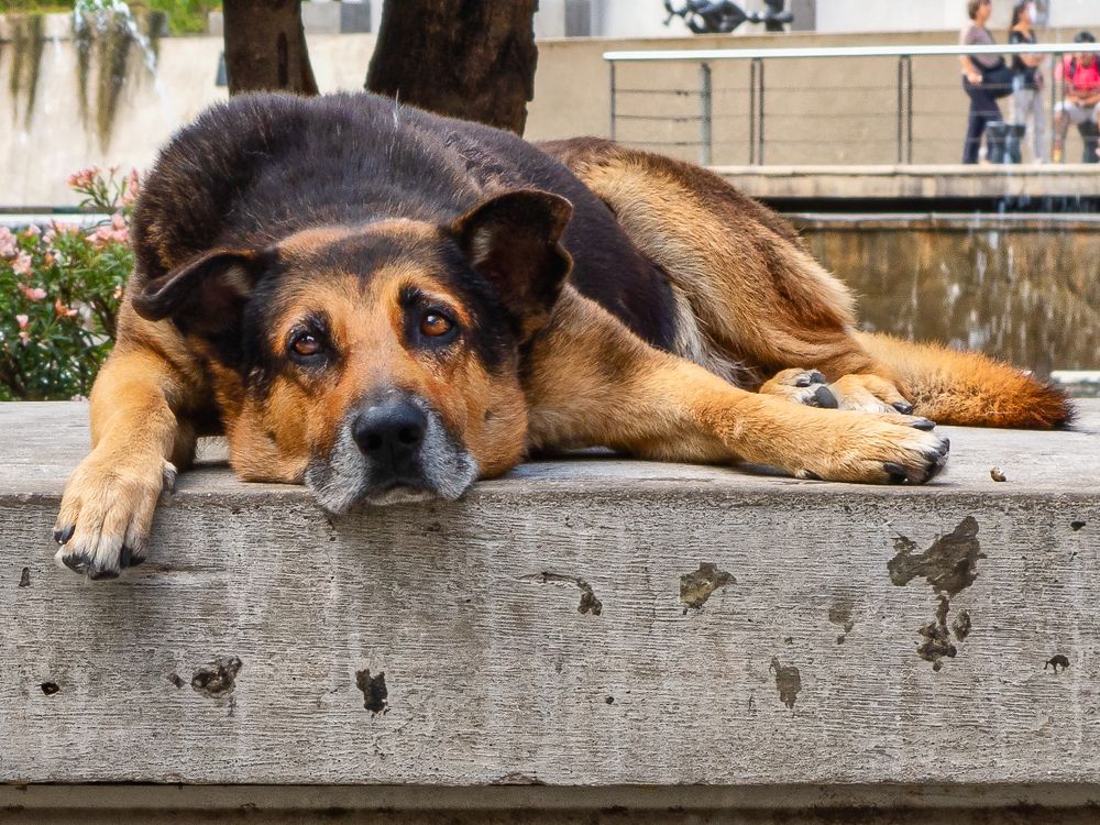 Photograph by Alberto Sosa