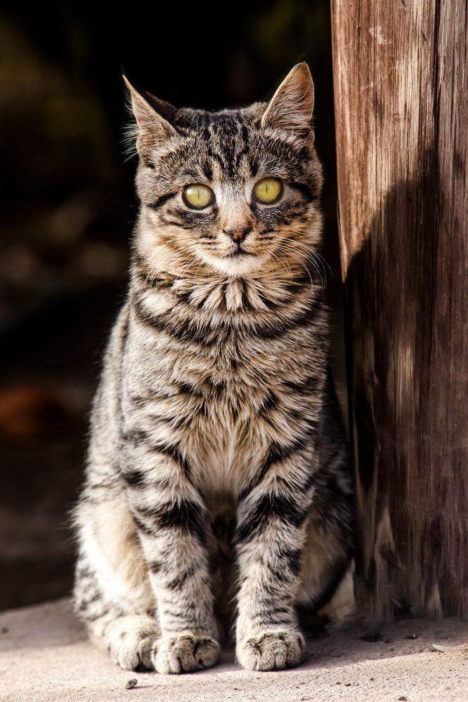 Photograph by Alberto Sosa