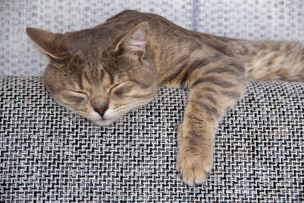 Photograph by Андрей Почечуй