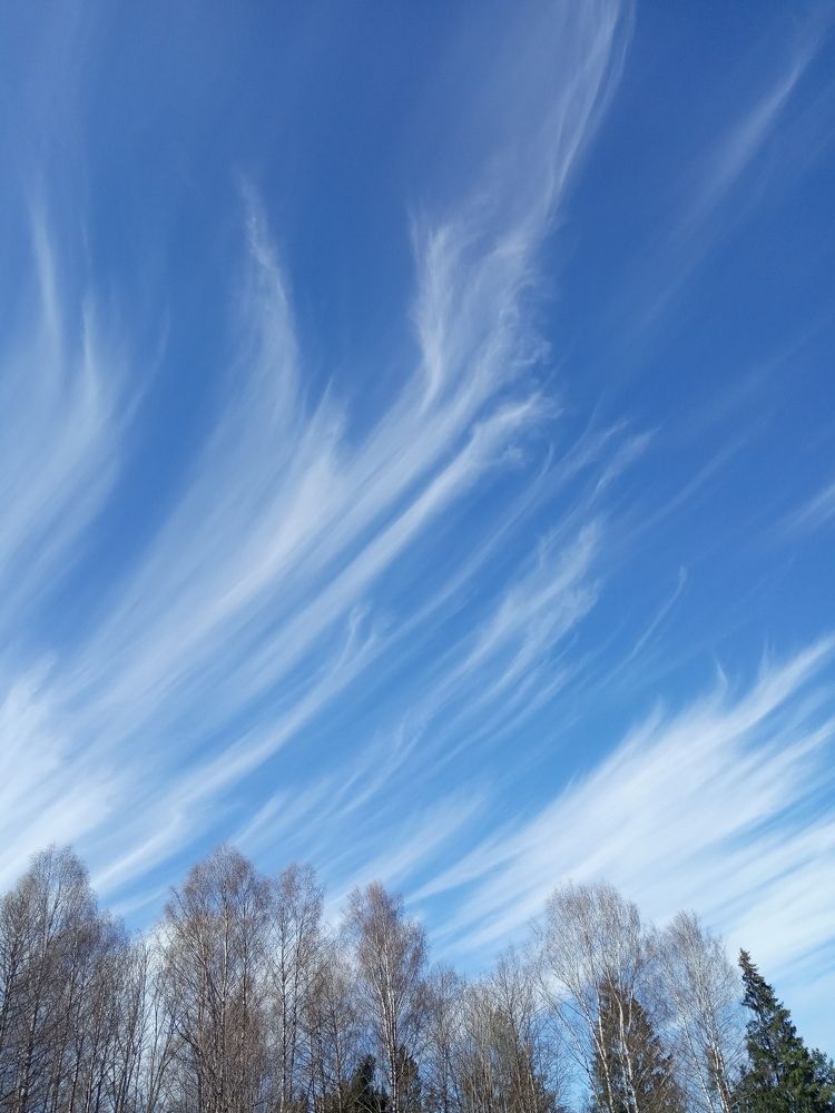 Photograph by Любовь Шаврина