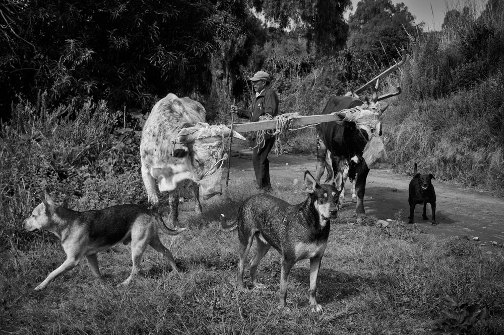 Photograph by Fernando izaguirre