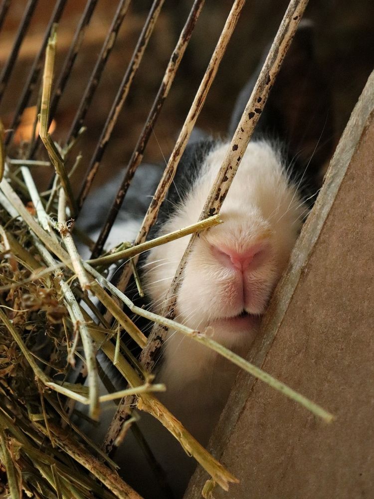 Photograph by Katerina Akalifa