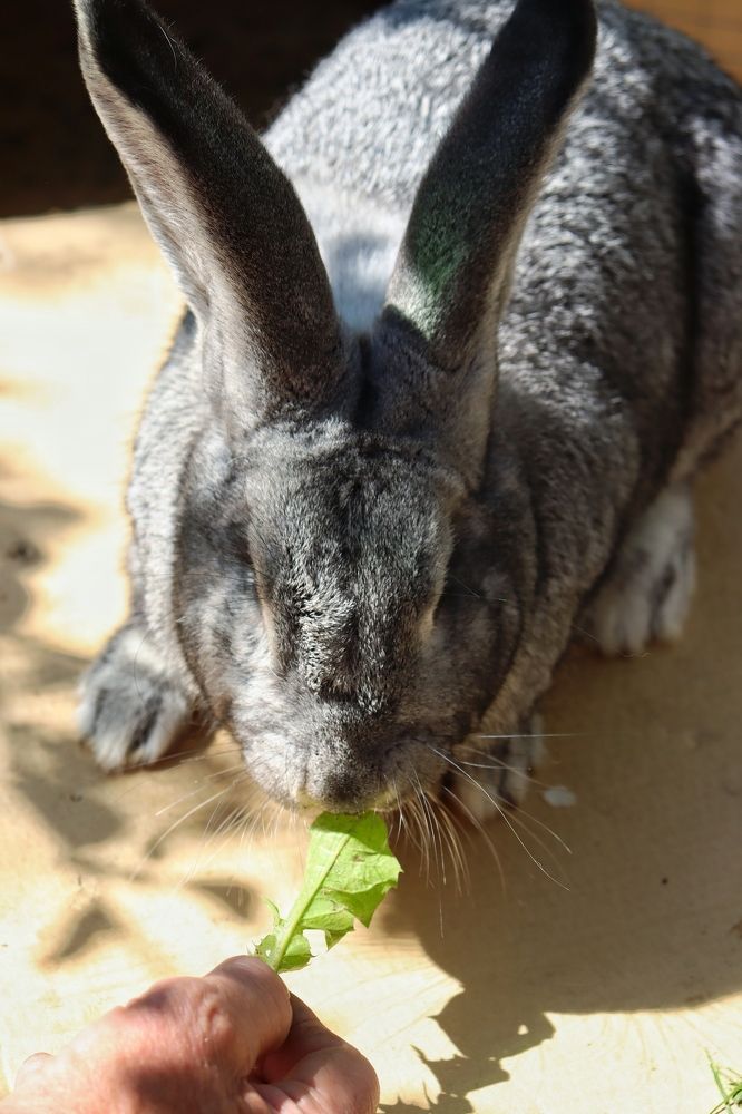 Photograph by Katerina Akalifa