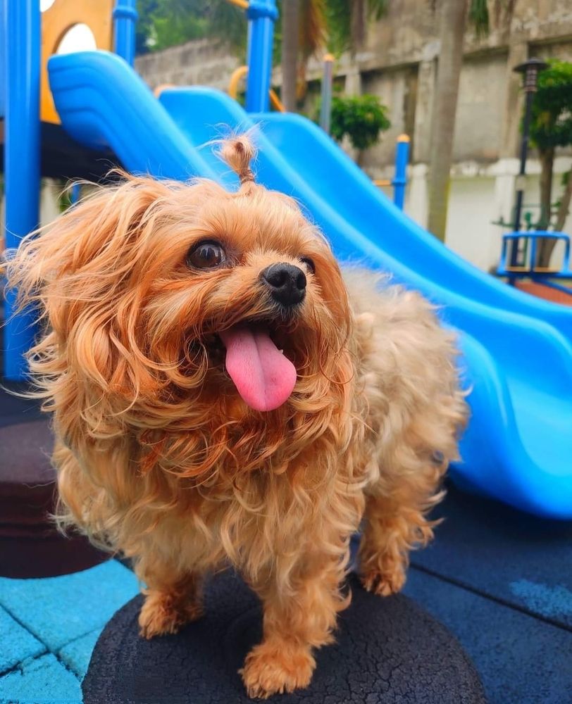 Photograph by Valdez Jonathan