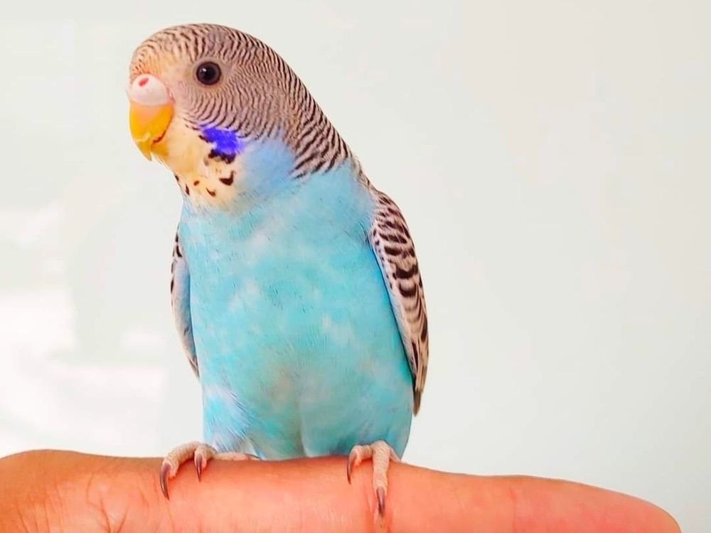 Photograph by Valdez Jonathan