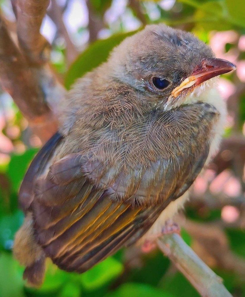 Photograph by Valdez Jonathan